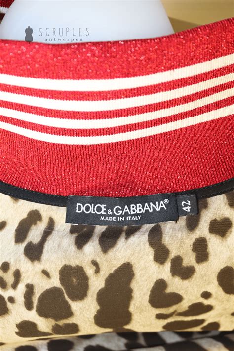 dolce gabbana antwerpen